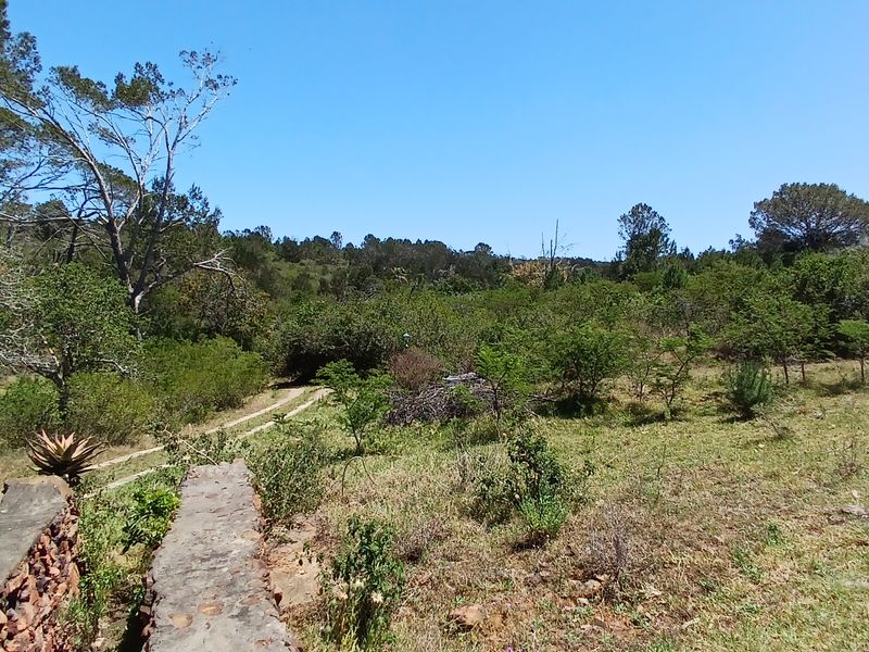 A view of the expansive farm grounds featuring natural vegetation, mature trees, and a stone retaining wall structure.