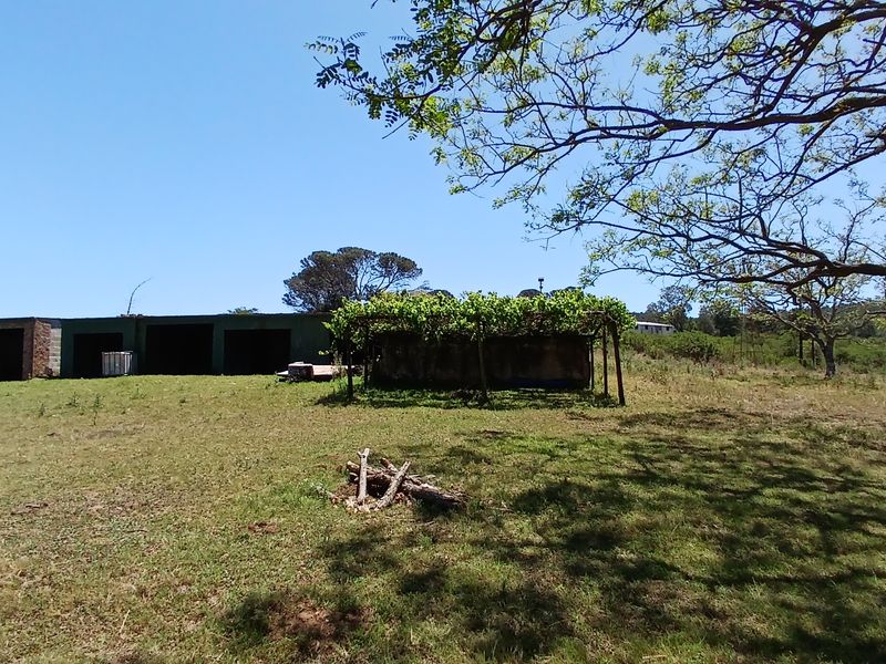 A rural farm property featuring an outbuilding with open garage bays and a vine-covered pergola set within a large open field.