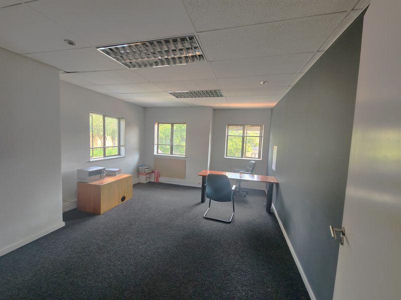 A functional office space featuring carpeted flooring, suspended ceilings with recessed lighting, and multiple windows providing natural light.