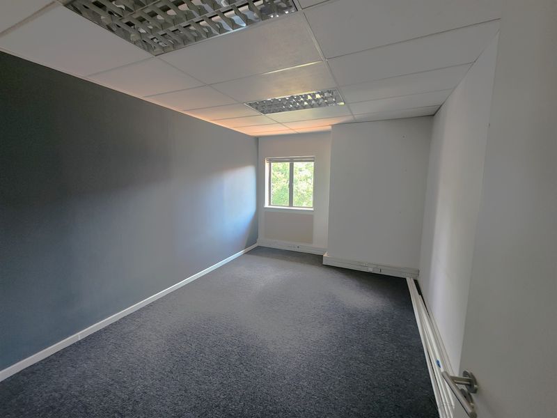 A vacant office space featuring grey carpeting, a suspended ceiling with recessed lighting, and a single window providing natural light.