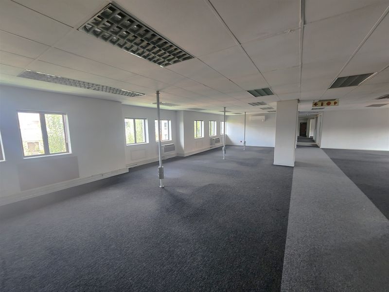 A spacious, open-plan office area featuring suspended ceilings, recessed lighting, carpeted flooring, and multiple windows providing natural light.