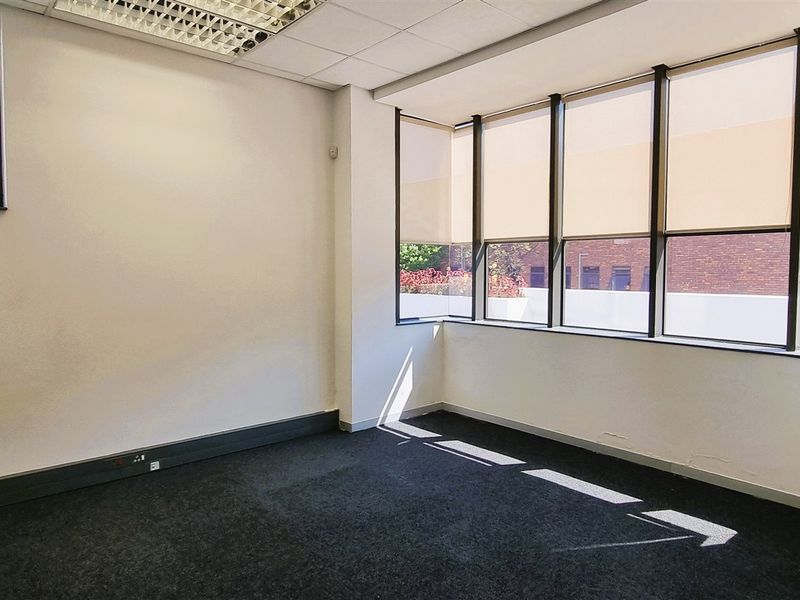 A bright, empty office space featuring large windows with roller blinds, a suspended ceiling, and dark carpeting, suitable for a professional workspace.