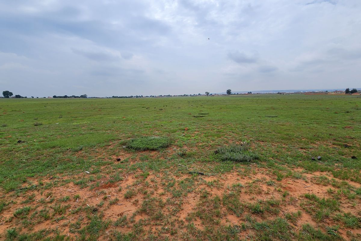 1 Ha Smallholding – Endless Potential! - Photo 2