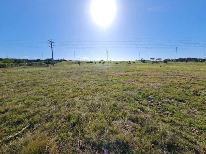 A wide-angle view of a vacant commercial land plot featuring natural grass terrain, utility poles, and overhead power lines under a clear sky.
