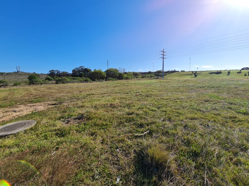 A wide-angle view of a vacant commercial land plot featuring natural grass terrain, a utility pole, and a visible manhole cover.