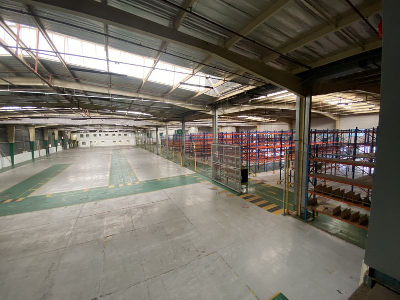 Spacious industrial warehouse featuring high ceilings with skylights, painted concrete flooring with safety markings, and extensive built-in steel racking systems.