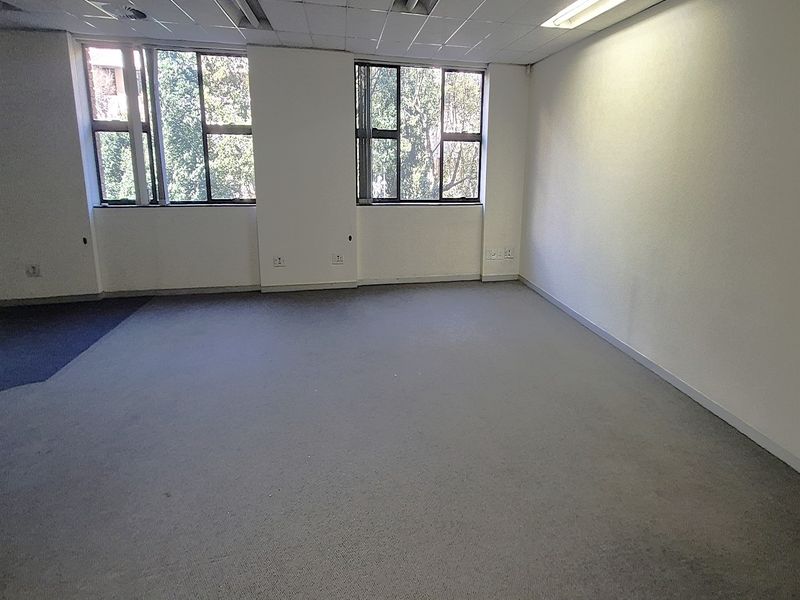 An empty, open-plan office space featuring a suspended ceiling, recessed lighting, carpeted flooring, and large windows providing natural light.