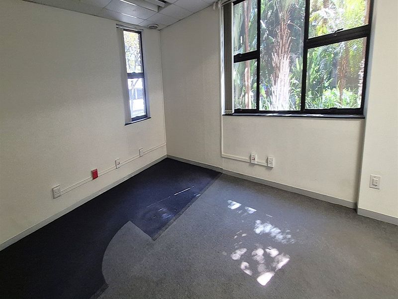 An empty office space featuring large windows, suspended ceiling tiles, and worn carpet flooring with surface-mounted electrical trunking.