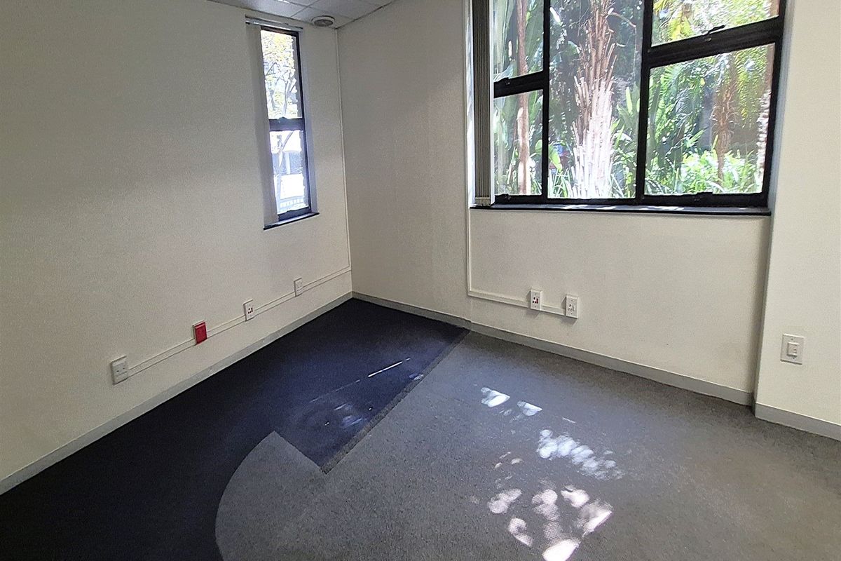 An empty office space featuring large windows, suspended ceiling tiles, and worn carpet flooring with surface-mounted electrical trunking.