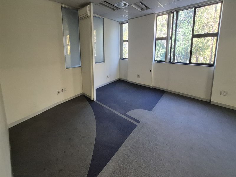 A vacant office space featuring large windows, patterned carpet flooring, a suspended ceiling with recessed lighting, and a wall-mounted air conditioning unit.