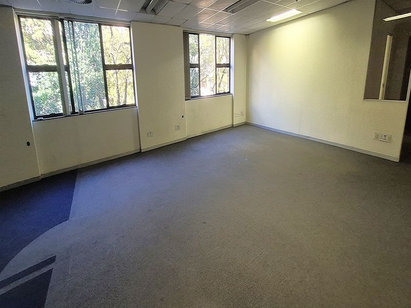 An empty, open-plan office space featuring large windows, suspended ceilings with recessed lighting, and carpeted flooring.