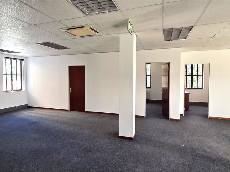 An open-plan office space featuring a suspended ceiling, recessed lighting, central air conditioning, and carpeted flooring with multiple internal access points.