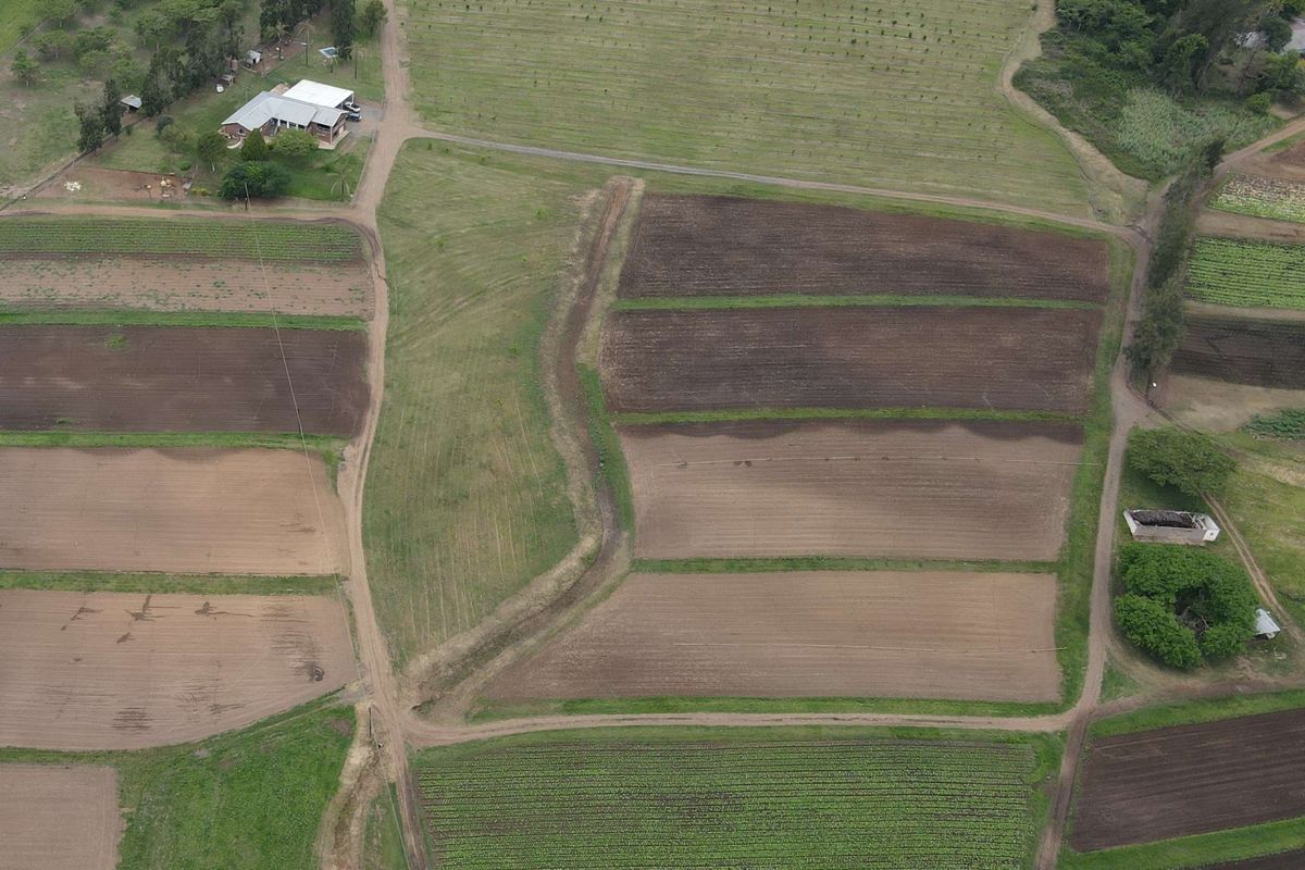 Aerial view of a large farm property featuring extensive cultivated fields, irrigation channels, and established farm access roads.