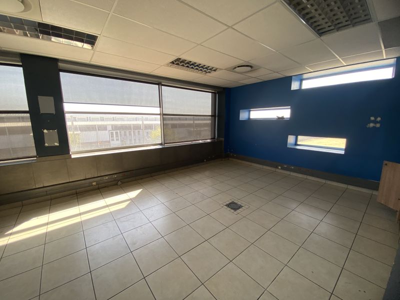 An empty industrial office space featuring tiled flooring, suspended ceilings with recessed lighting, and large windows with roller blinds.