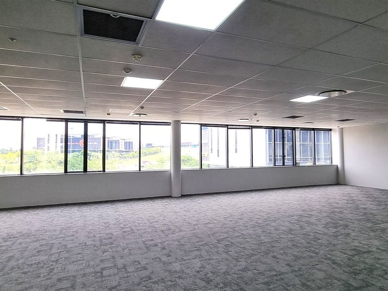 A spacious, open-plan office area featuring large windows with natural light, a suspended ceiling with recessed lighting, and neutral carpeted flooring.