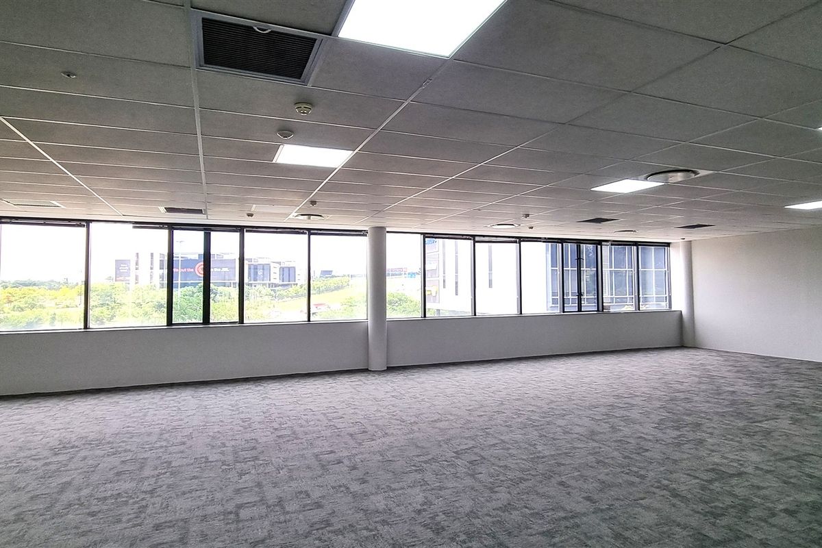 A spacious, open-plan office area featuring large windows with natural light, a suspended ceiling with recessed lighting, and neutral carpeted flooring.