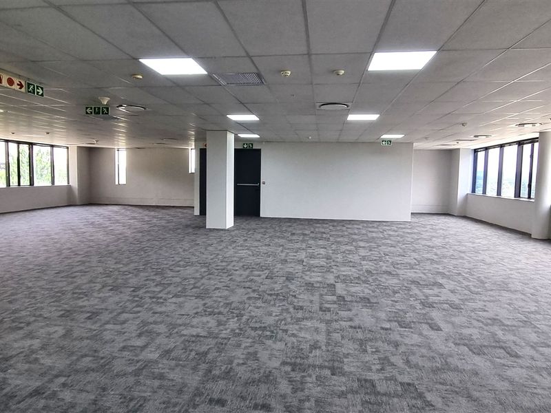 A spacious, open-plan office area featuring neutral carpet tiles, a suspended ceiling with recessed lighting, and expansive windows providing ample natural light.
