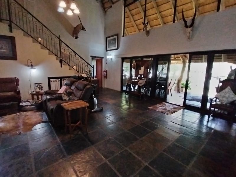 Magnificent 680ha Private Game Farm & Guest Lodge – Between Rustenburg & Koster - Photo 10