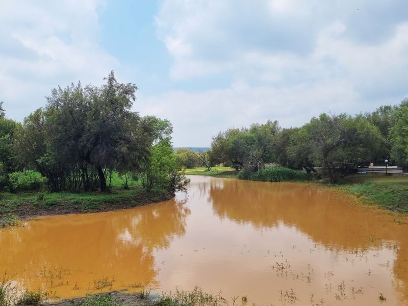 Magnificent 680ha Private Game Farm & Guest Lodge – Between Rustenburg & Koster - Photo 9