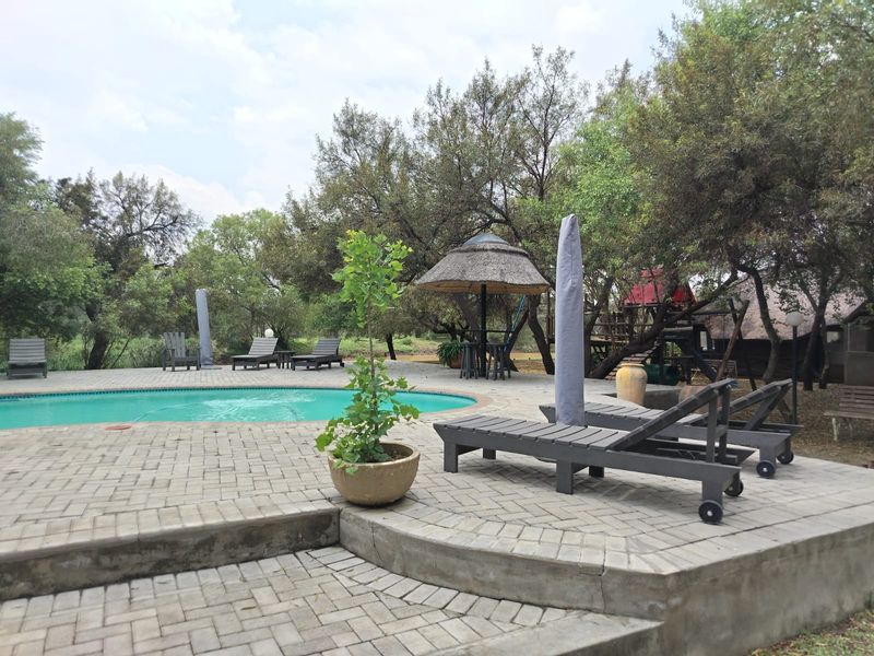 Magnificent 680ha Private Game Farm & Guest Lodge – Between Rustenburg & Koster - Photo 4