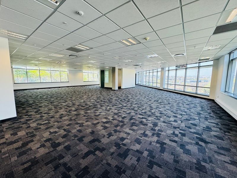 A spacious, open-plan office area featuring large windows with natural light, carpeted flooring, and a suspended ceiling with integrated lighting.