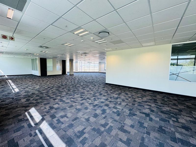 A spacious, open-plan office area featuring modern carpet tiles, a suspended ceiling with recessed lighting, and large windows providing ample natural light.