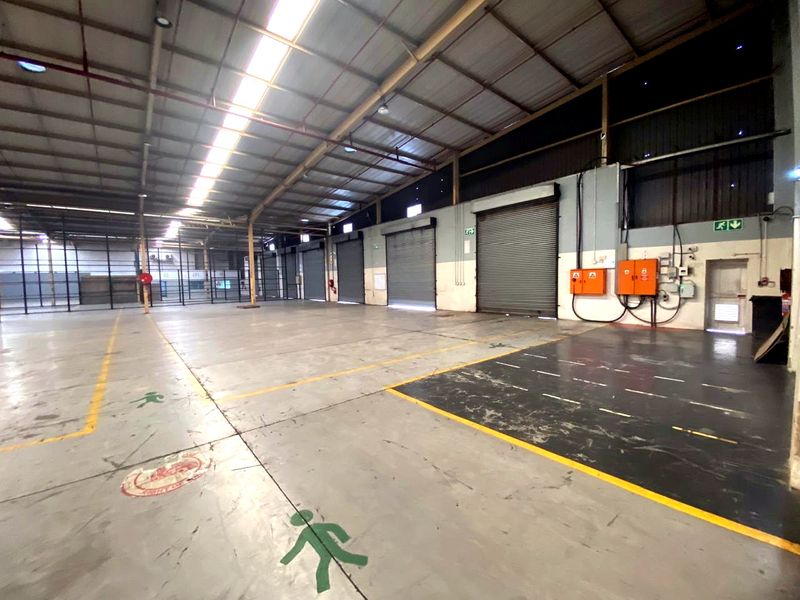 Spacious industrial warehouse featuring high ceilings with translucent roof panels, multiple roller shutter doors, and durable concrete flooring with safety markings.