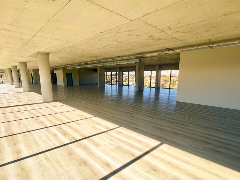 Spacious open-plan office area featuring exposed concrete ceilings, support columns, and expansive windows providing abundant natural light and views.