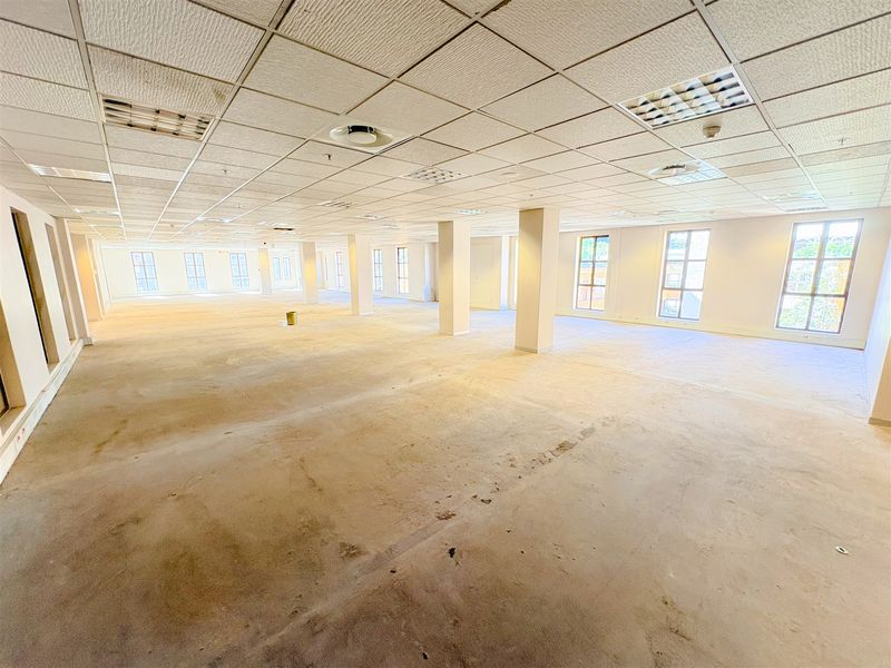 A large, open-plan office space featuring a suspended ceiling, recessed lighting, structural columns, and multiple windows providing ample natural light.