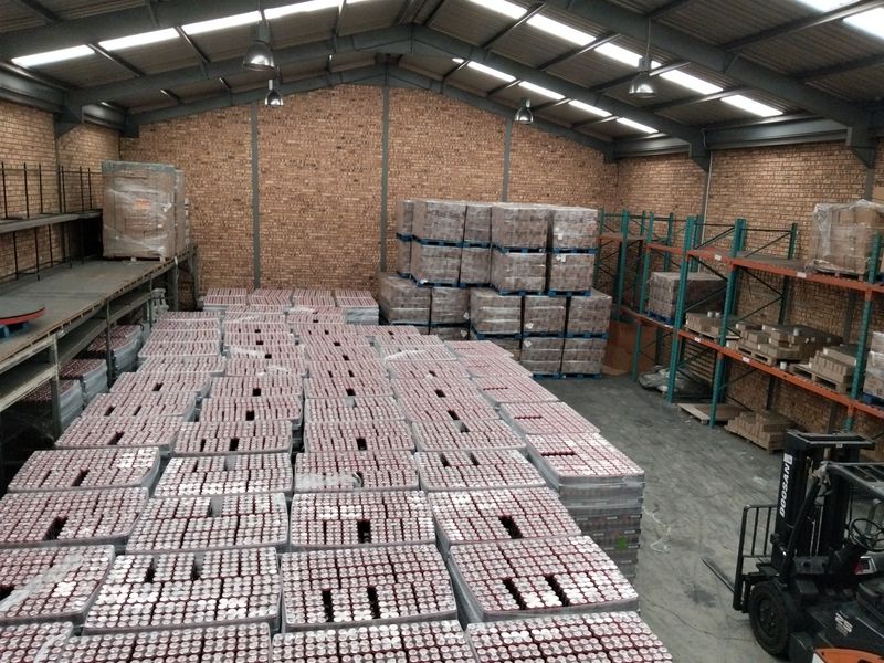 Spacious industrial warehouse featuring exposed brick walls, high-clearance steel truss roofing with integrated skylights, mezzanine storage, and heavy-duty pallet racking systems.