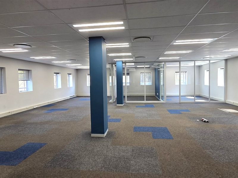 Spacious open-plan office area featuring carpet tiles, suspended ceilings with recessed lighting, and glass-partitioned meeting rooms.
