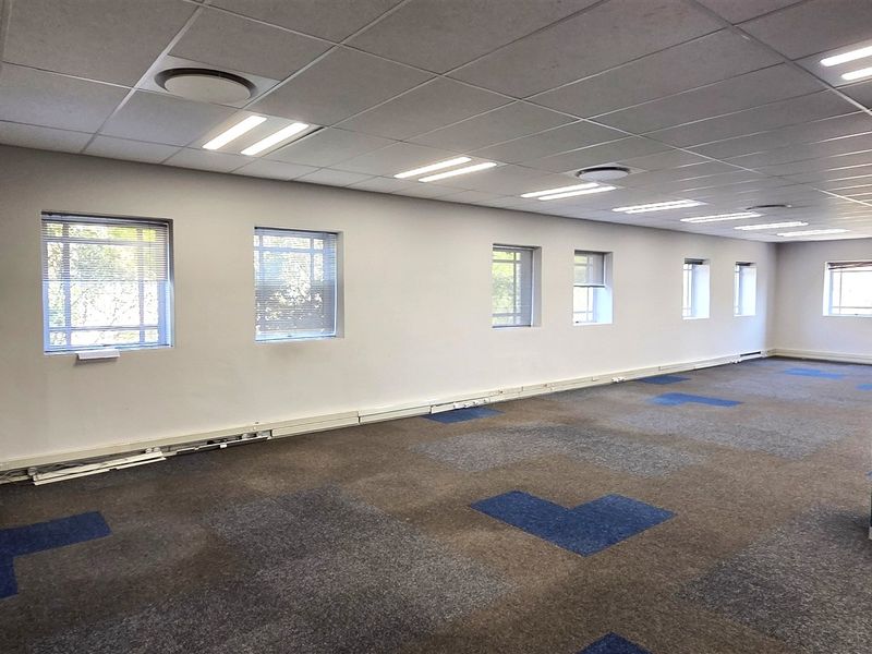 Spacious open-plan office area featuring suspended ceilings, recessed lighting, carpet tiles, and structural columns, providing a versatile workspace environment.