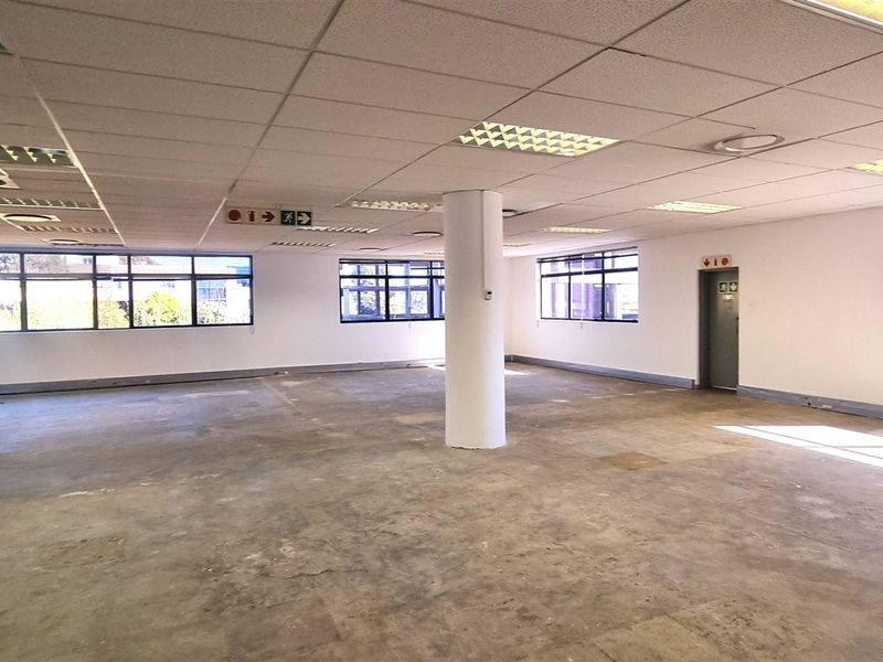 Spacious open-plan office area featuring a suspended ceiling, recessed lighting, and large windows providing ample natural light, ready for custom fit-out.