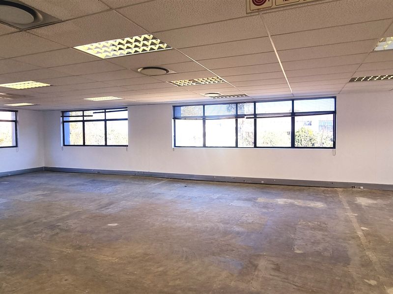 Spacious open-plan office area featuring a suspended ceiling, recessed lighting, and large windows providing ample natural light.