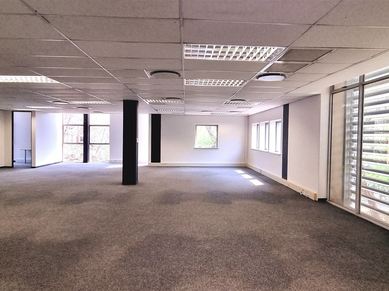 A spacious, open-plan office area featuring a suspended ceiling, recessed lighting, large windows with external louvers, and carpeted flooring.