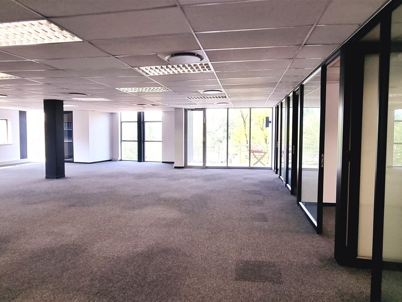 Spacious open-plan office area featuring glass partitions, suspended ceilings with recessed lighting, and large windows providing ample natural light.
