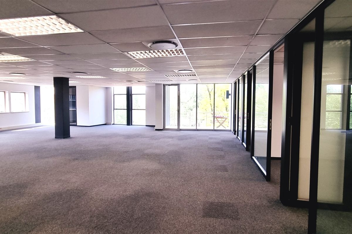 Spacious open-plan office area featuring glass partitions, suspended ceilings with recessed lighting, and large windows providing ample natural light.