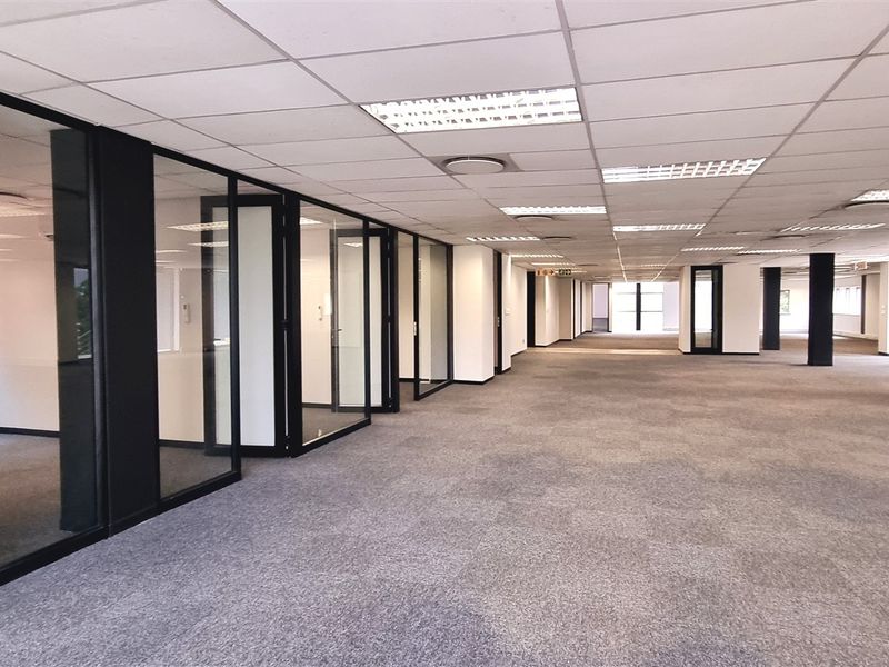 Spacious open-plan office area featuring glass-partitioned private offices, suspended ceilings with recessed lighting, and neutral carpeting throughout.