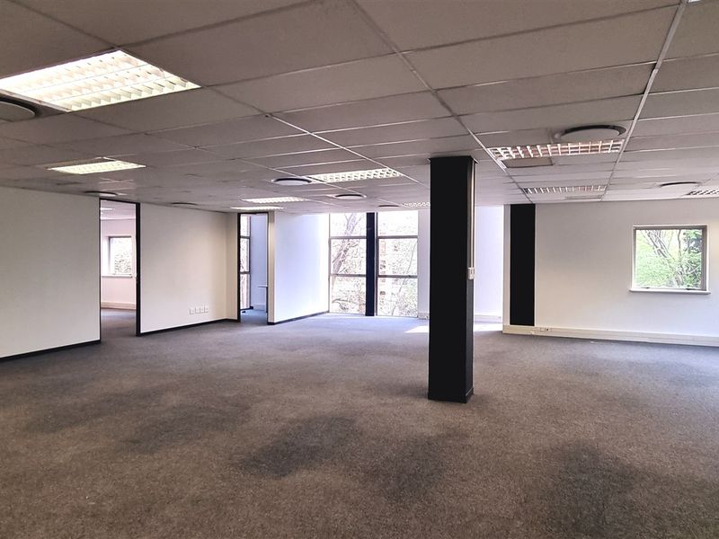 Spacious open-plan office area featuring a suspended ceiling, recessed lighting, large windows for natural light, and carpeted flooring throughout.