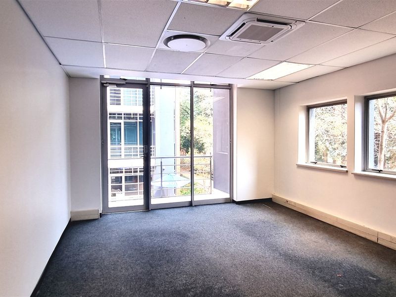 A bright, empty office space featuring carpeted flooring, a suspended ceiling with integrated lighting, and large windows providing natural light and exterior views.