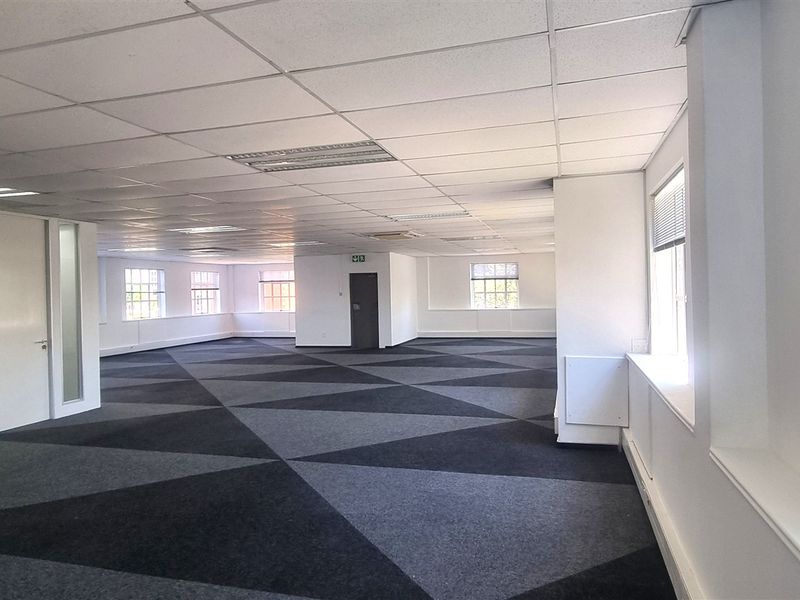 Spacious open-plan office area featuring a suspended ceiling, recessed lighting, and geometric patterned carpeting with multiple windows providing natural light.