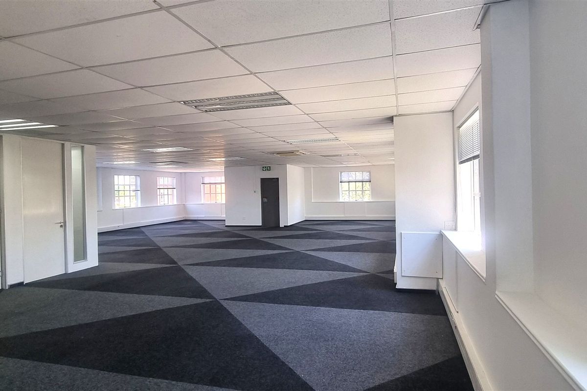 Spacious open-plan office area featuring a suspended ceiling, recessed lighting, and geometric patterned carpeting with multiple windows providing natural light.