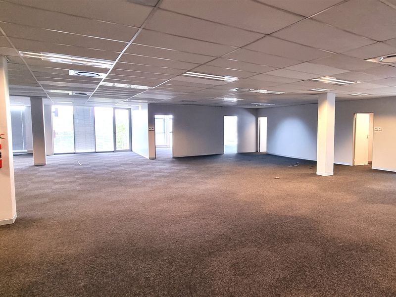 A spacious, open-plan office area featuring a suspended ceiling, recessed lighting, and neutral carpeting, offering a versatile layout for various business configurations.