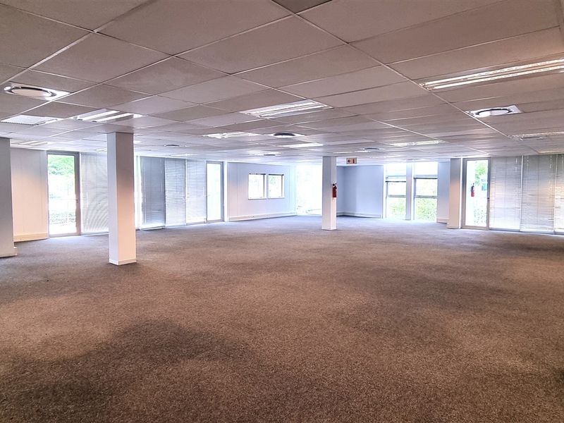 A spacious, open-plan office area featuring a suspended ceiling, recessed lighting, carpeted flooring, and large windows with blinds, providing a versatile workspace.