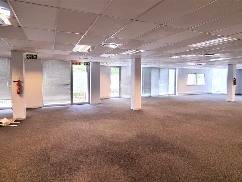 Spacious open-plan office area featuring a suspended ceiling, recessed lighting, carpeted flooring, and large windows with venetian blinds.