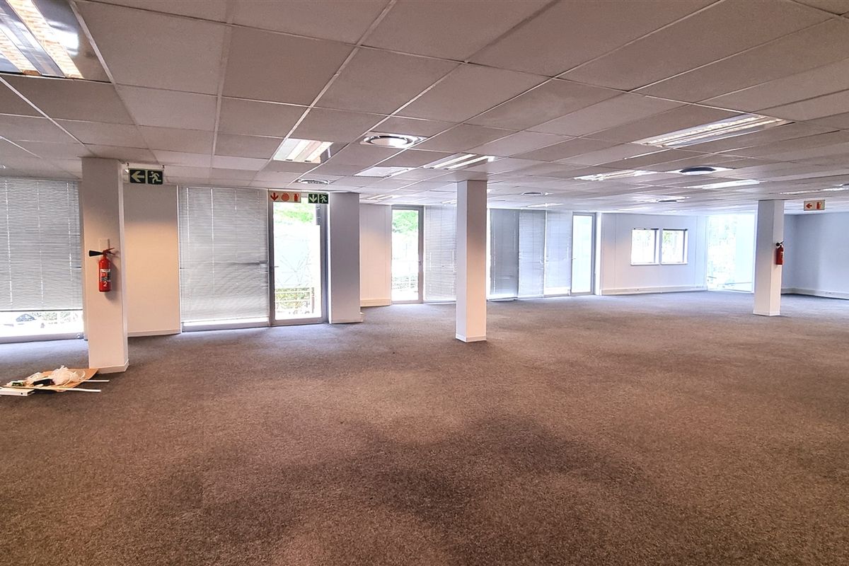 Spacious open-plan office area featuring a suspended ceiling, recessed lighting, carpeted flooring, and large windows with venetian blinds.