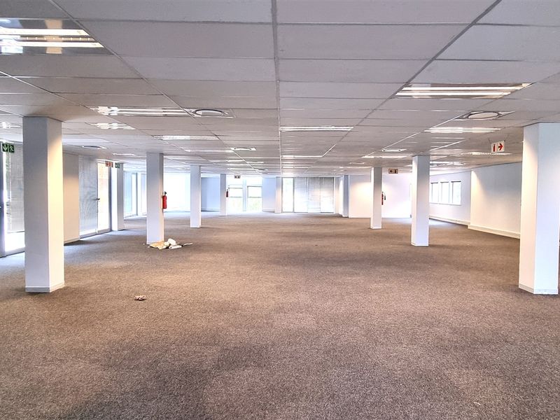 A large, open-plan office space featuring a suspended ceiling, recessed lighting, and carpeted flooring, offering a versatile layout for various business configurations.