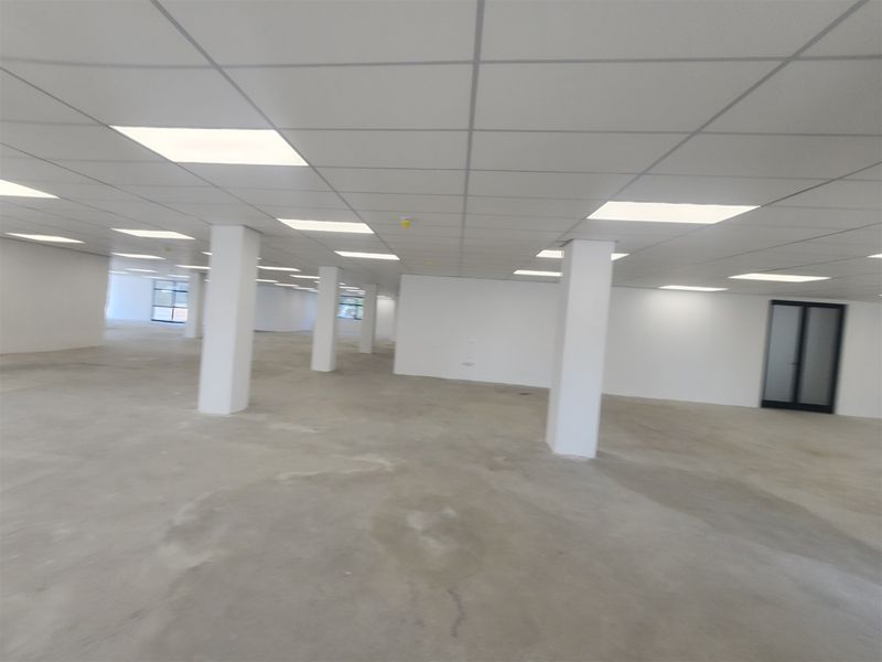 A large, open-plan office space featuring a suspended ceiling with recessed lighting, structural support columns, and an unfinished concrete floor.
