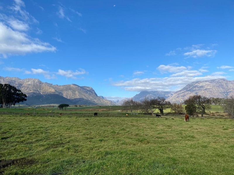 A scenic view of expansive green farm pastures with grazing livestock, framed by majestic mountain ranges under a clear blue sky.