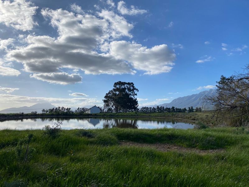 A scenic view of a farm dam with a mountain backdrop and surrounding natural landscape.